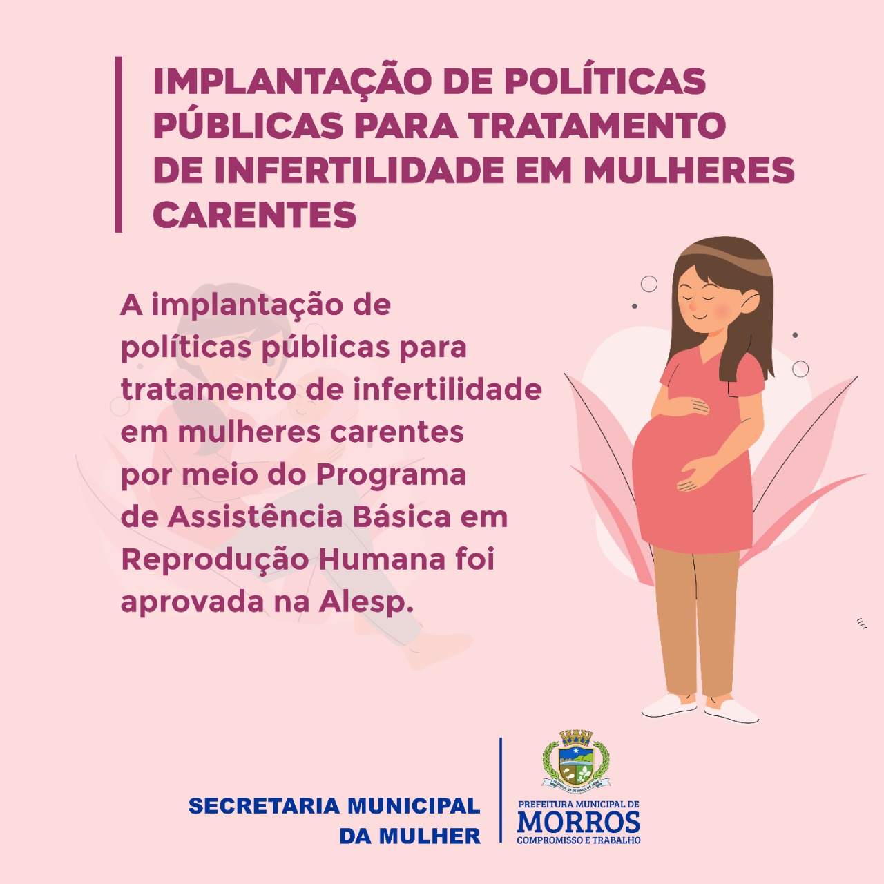 implantação de políticas públicas para tratamento de infertilidade em mulheres carentes por meio do Programa de Assistência Básica em Reprodução Humana foi aprovada na Alesp